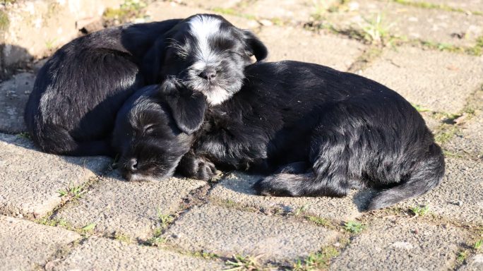 Ousanne / Ouna & Onyx